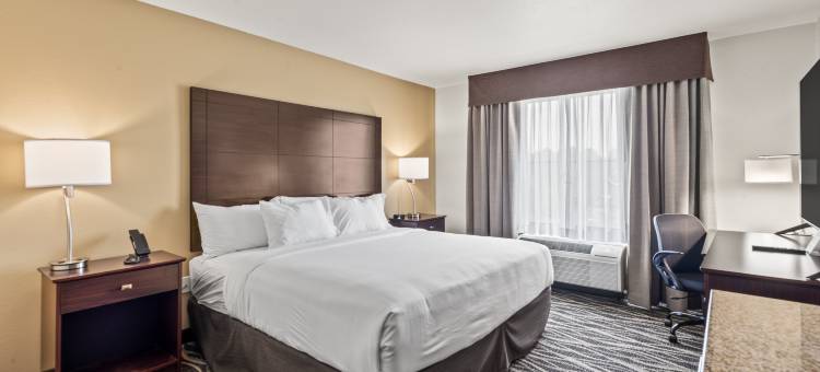 鹅卵石酒店和套房 - 林登(Cobblestone Hotel & Suites - Lynden)图片