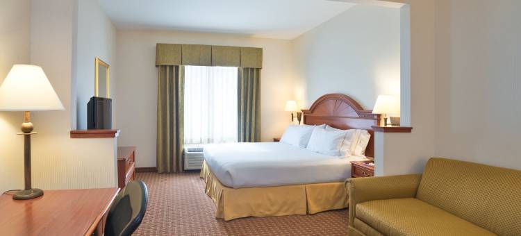洲际酒店集团智选假日酒店及套房弗拉克维尔(Holiday Inn Express & Suites Frackville)图片