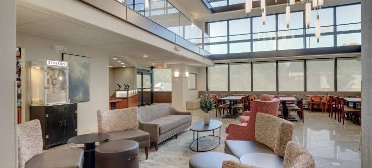 夏洛特大学德鲁里套房酒店(Drury Inn & Suites Charlotte University Place)图片