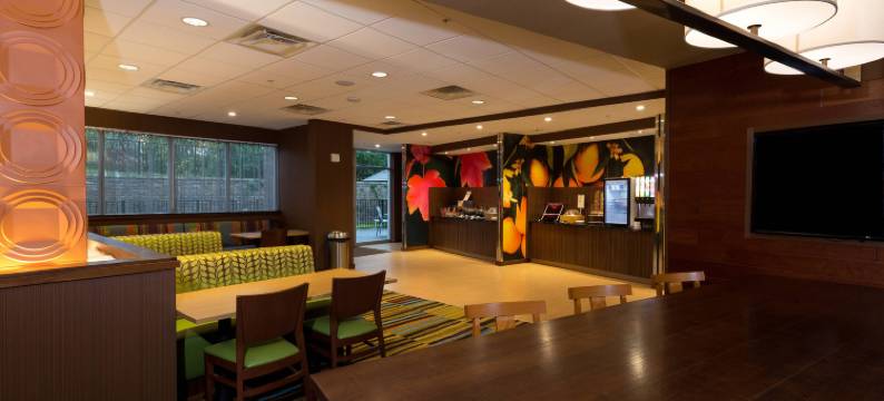 底特律-切斯特菲尔德万枫套房酒店(Fairfield Inn & Suites Detroit Chesterfield)图片