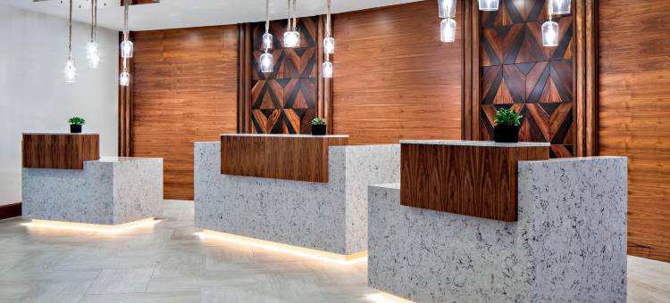 达拉斯拉斯科林纳斯万豪酒店(Marriott Dallas Las Colinas)图片