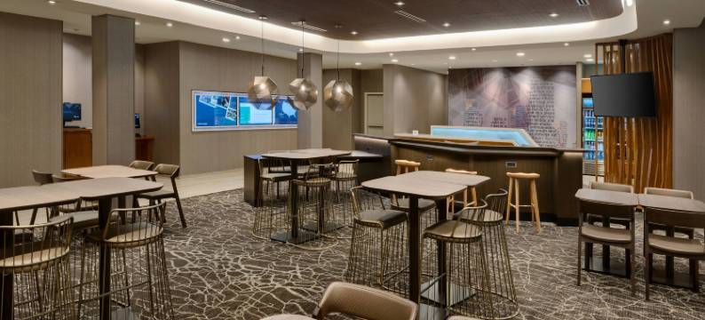 SpringHill套房由万豪酒店印第安纳波利斯基石(SpringHill Suites Indianapolis Keystone)图片