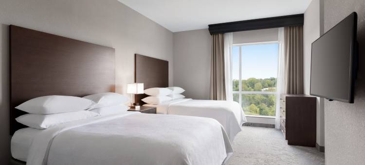 洛特爱斯丽希尔顿安泊酒店(Embassy Suites by Hilton Charlotte Ayrsley)图片