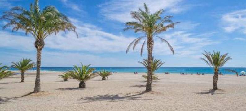 Apartamento Sant Roc图片