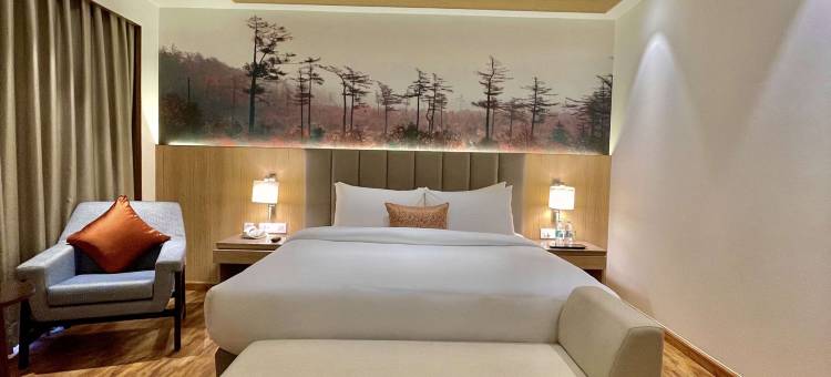 贝斯特韦斯特马特拉卡绍利(Best Western Kasauli)图片