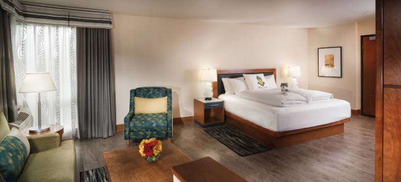 Staypineapple-华盛顿湖酒店-西雅图大学区(Staypineapple, Watertown Hotel, University District Seattle)图片