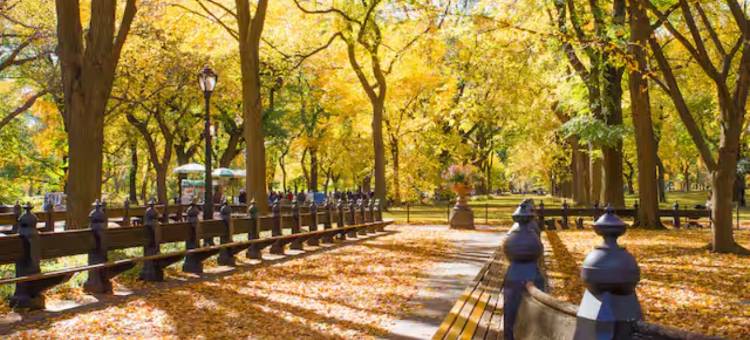 温德姆戴斯酒店硫磺泉(Days Inn by Wyndham Sulphur Springs)图片