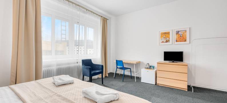 佩蒂特高级旅馆(Pension Petit)图片