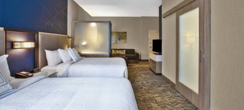 匹兹堡巴特勒中城SpringHill Suites酒店(SpringHill Suites Pittsburgh Butler/Centre City)图片