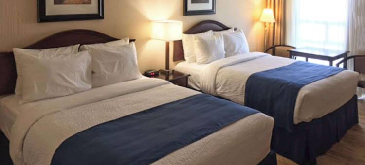 Spark by Hilton Owen Sound(Spark by Hilton Owen Sound)图片