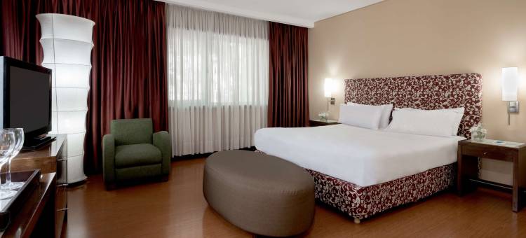 NH科迪勒拉酒店(NH Mendoza Cordillera)图片