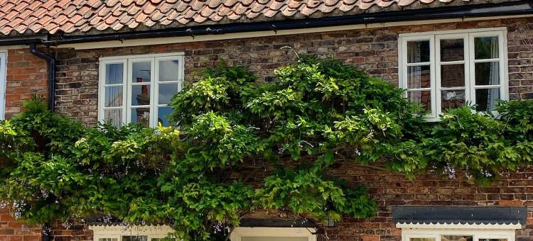 达勒姆奥克斯酒店(The Durham Ox)图片