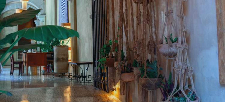 安东尼塔之家(Casa Antonieta)图片