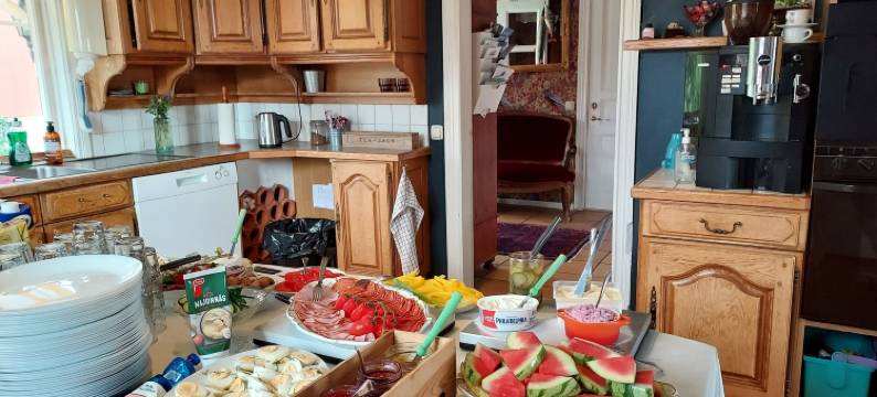 阿里芭利娅住宿加早餐旅馆(Älgbergets Bed & Breakfast)图片