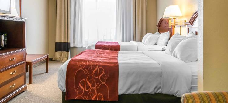 舒适套房酒店(Comfort Suites)图片