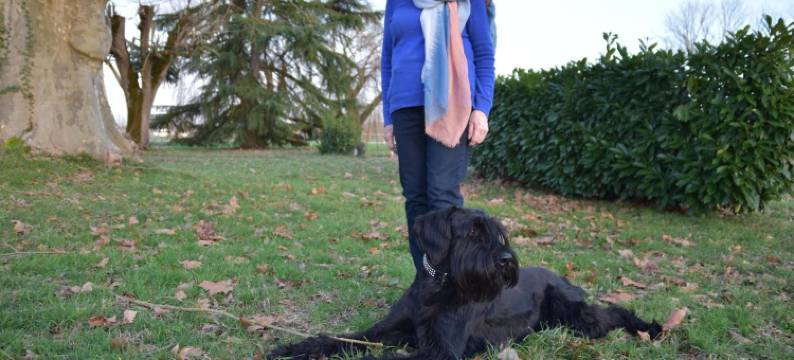 勒普拉塔恩酒店(Le Platane)图片