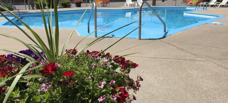 亚当汽车旅馆(Motel Adam)图片