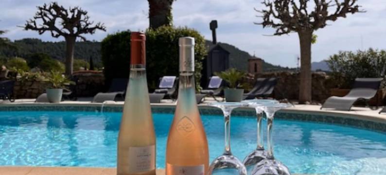 阿尔让城堡酒店(Le Château d'Argens)图片