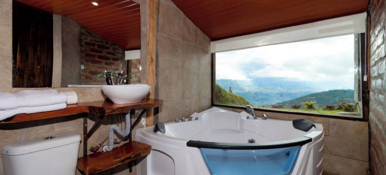 梦中的雪松(El Cedro SOÑADO)图片