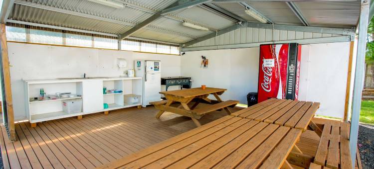 发现公园 - 哈德斯彭(Discovery Parks - Hadspen)图片