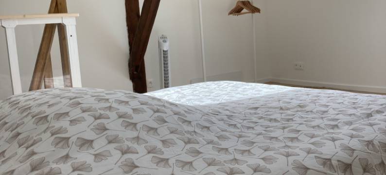 Apart'Moment EN GROUPE - 波希米亚别致(Le Bohemian Chic - 4 Chambres en Hypercentre de Saint-Omer, idéal Pour les Groupes)图片