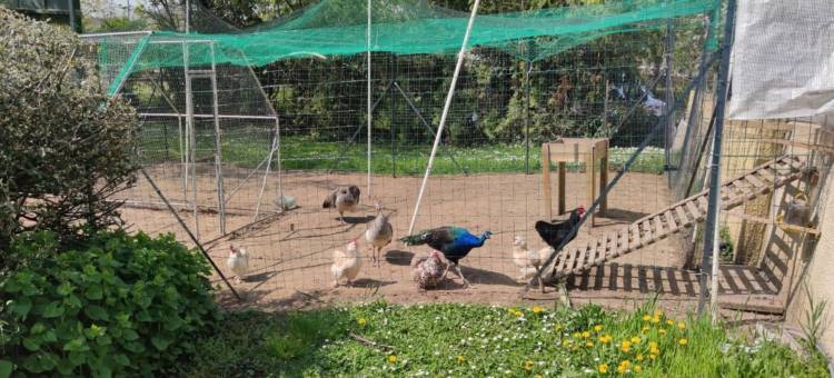 基里亚德酒店-米路斯路特巴赫(Kyriad Mulhouse Est - Lutterbach)图片