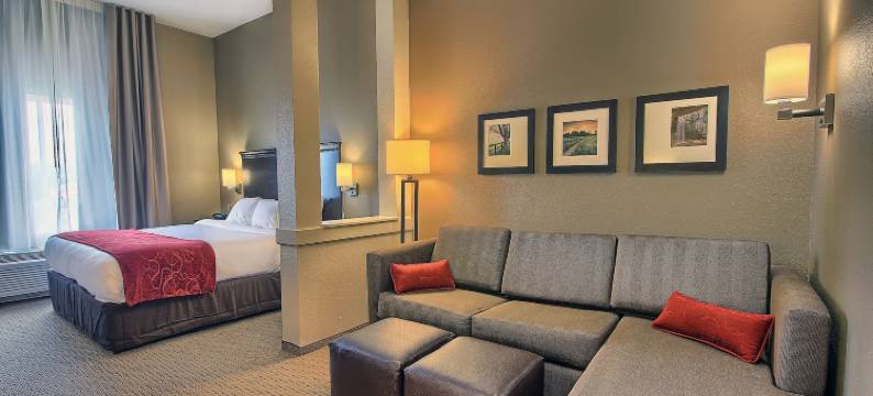 马利耶塔派克斯伯格市舒适套房酒店(Comfort Suites Marietta-Parkersburg)图片