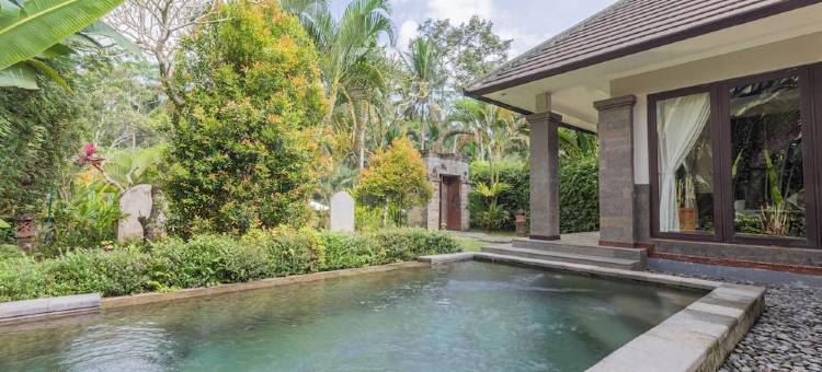 苏阿拉艾尔度假村(Suara Air Resort Ubud)图片