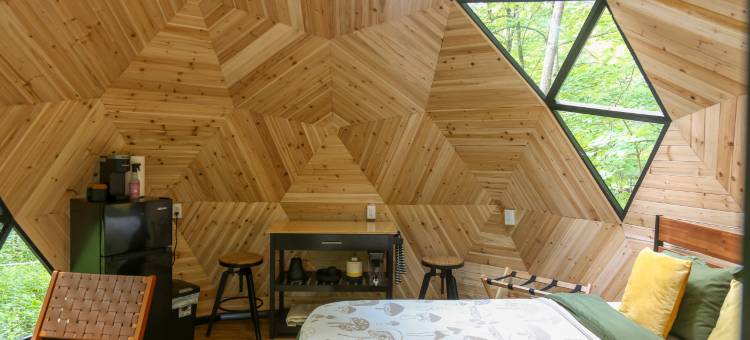 Amanita Dome. All-Inclusive Food and Drinks.图片