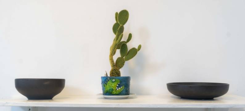 My place in paradise 我在天堂的地方(My Place in Paradise)图片