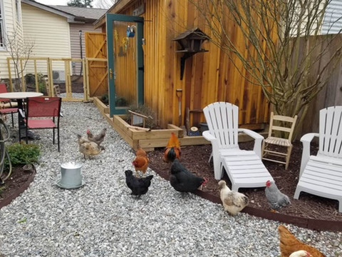 蠢鸡旅馆家庭旅馆