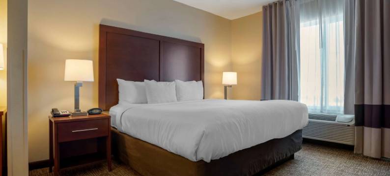 弗利北部湾岸舒适套房酒店(Comfort Suites Foley - North Gulf Shores)图片