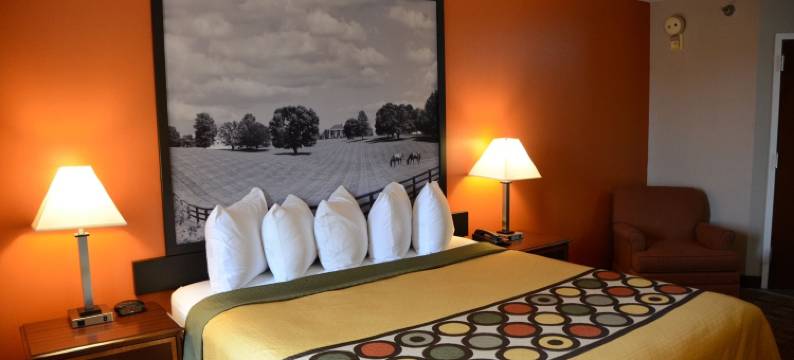 路易斯威尔-博览中心温德姆速8酒店(Super 8 by Wyndham Louisville/Expo Center)图片