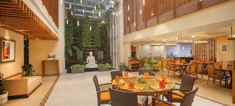 阿姆里塔拉瑜伽健康水疗及度假村(Yog Wellness Resort & Spa by Amritara)图片