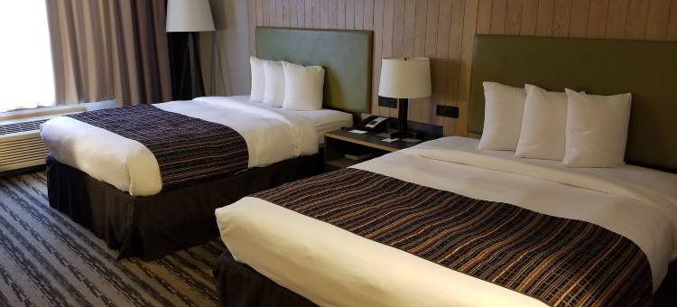 纳什维尔机场东丽怡酒店(Country Inn & Suites by Radisson, Nashville Airport East, TN)图片