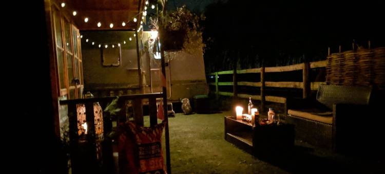 骆驼华丽露营酒店(Glamping with Llamas)图片