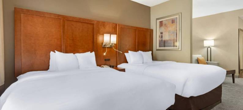 牛津 I-20 公路 188 号出口舒适全套房酒店(Comfort Suites Oxford I-20 Exit 188)图片