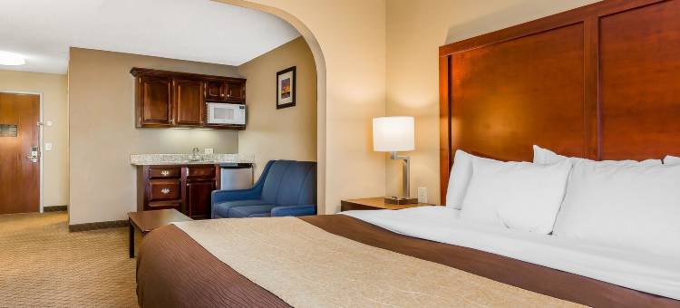 米沙瓦卡-南本德舒适套房酒店(Comfort Inn & Suites Mishawaka-South Bend)图片