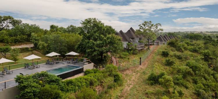 Leopard Sands, Kruger Park图片