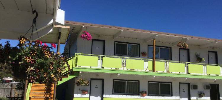 雪松汽车旅馆(Cedars Motel)图片