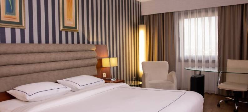 安尼蒙酒店-埃斯基谢希尔(Anemon Grand Eskişehir Otel)图片