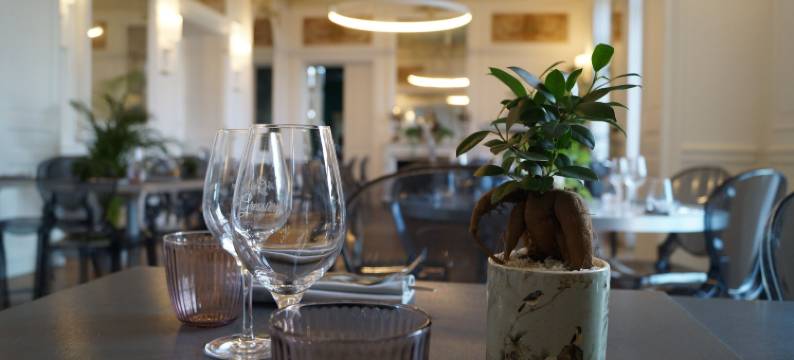 格雷西城堡酒店(Domaine de La Gressière)图片