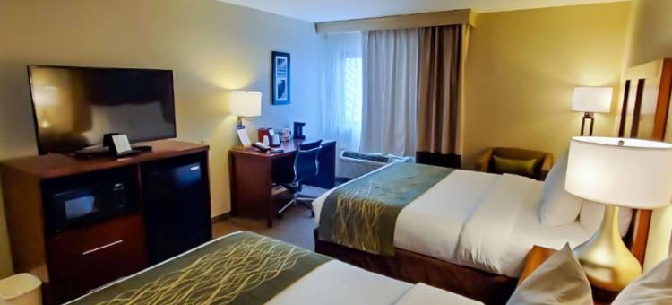 舒适酒店(Comfort Inn)图片