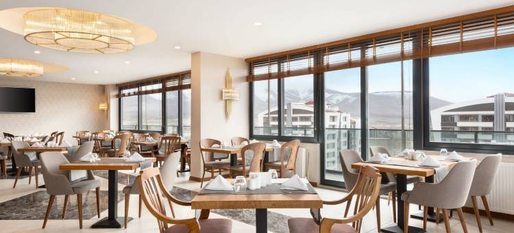 尼代温德姆华美达酒店(Ramada by Wyndham Nigde)图片