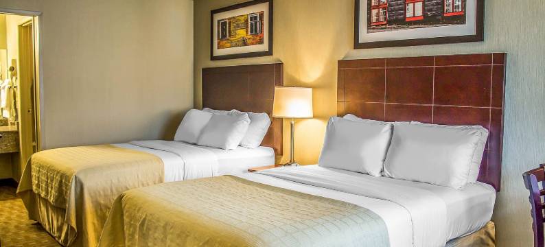 品质酒店(Quality Inn)图片