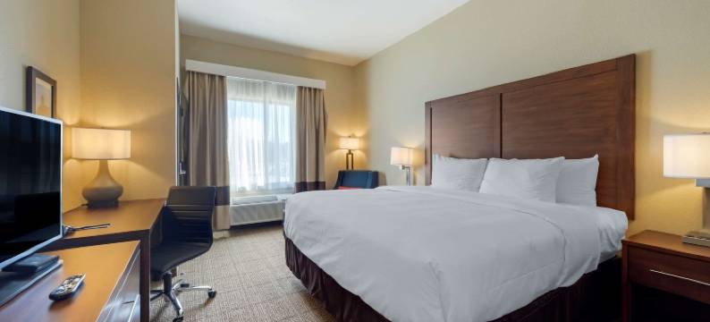 哈拉舒适套房酒店(Comfort Inn & Suites Harrah)图片