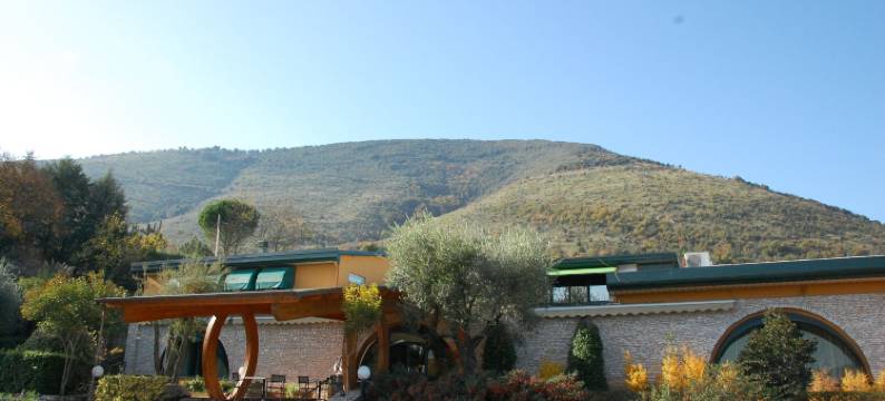 达尔帕特里卡诺酒店(Dal Patricano)图片