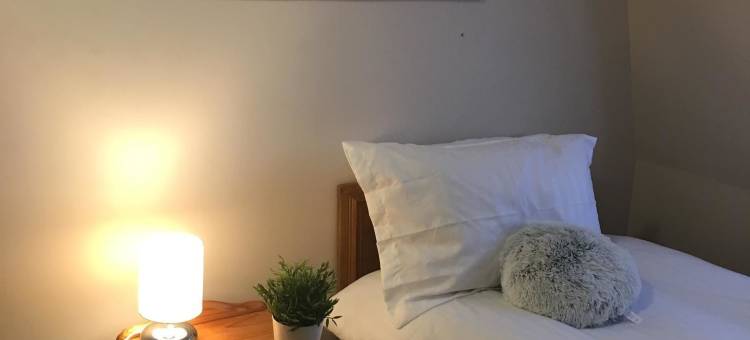泰拉新星酒店(Terra Nova Hotel)图片