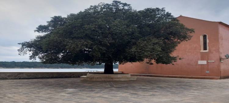 Supetarska Draga绿角旅馆(Guest House Green Corner Supetarska Draga)图片