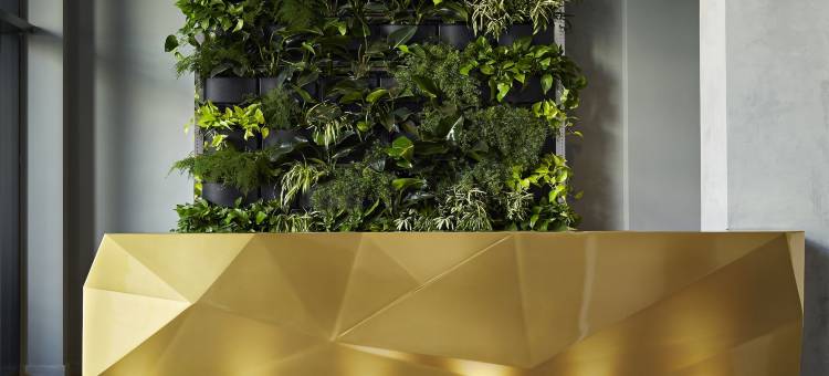 索伊尔金普顿酒店(Kimpton SAWYER HOTEL by IHG)图片